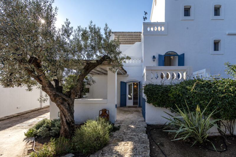 Masseria Haus-Olivenbaum