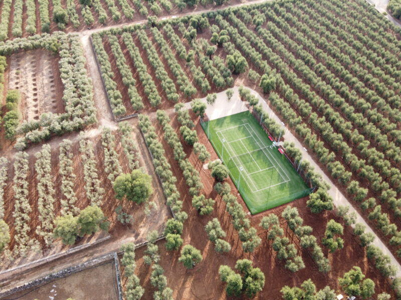 Massseria Olivenbaueme-Tennisplatz